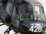 Westland Wasp