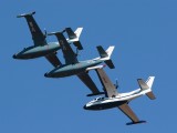 Albatross in formation