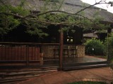 Zululand Tree lodge005