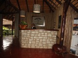 Zululand Tree lodge016