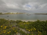 Jacob's Bay-1