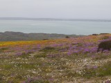 Seeberg Pano-1