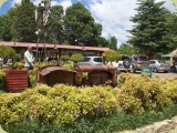 Clarens__129 - Clarens