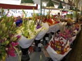 Seattle_ 059